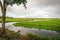 Menacing clouds above a Dutch polder