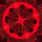 menacing delta coronavirus cv19 shape red and black