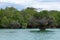 Menai bay landscape, Tanzania, Africa panorama