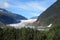 Mendenhall Glacier and Nugget Falls