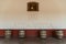 Mendoza, Argentina - January 24, 2019: Wine barrels at Alta Vista winery