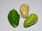 Mengkudu or noni fruits isolated on white background