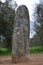 Menhir of almendres