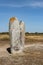 Menhir Beg Er Goalennec on peninsula Quiberon in Brittany