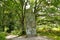 The menhir of Ceinturat near Cieux in the Haute-Vienne