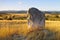 Menhir de la Trivalle in Cevennes