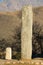 Menhir or Engraved stone