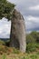 Menhir of Kergornec - megalithic monument in Brittany, France
