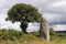 Menhir of Kergornec - megalithic monument in Brittany, France