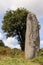 Menhir of Kergornec - megalithic monument in Brittany, France