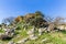 Menhir in Sardinia, Italy