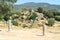 Menhir statue at the archaeological site of Filitosa on Corsica