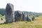 Menhirs alignment. Carnac, Brittany. France