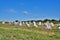 Menhirs alignment. Carnac, Brittany. France