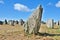 Menhirs alignment. Carnac, Brittany. France