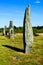 Menhirs allignment near Saint Just in Brittany