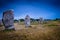 Menhirs of the Carnac alignment
