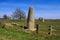 Menhirs d Epoigny in France