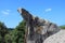 Menhirs and dolmen at Filitosa, Corsica, France