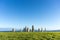 Menhirs park in A Coruna, Galicia, Spain