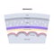 Meninges anatomy diagram