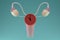 Menopause concept. Internal genital female organs with a clock on the uterus. 3D render