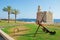 Menorca, Balearic Islands, Spain, castle, Ciutadella, port, anchor, palm tree