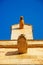 Menorca, Balearic Islands, Spain, gargoyle, cathedral, Ciutadella, church, Saint Mary, architecture, details