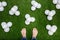 Mens feet standing on grass with white baloons