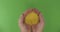 Mens hands hold a heap of millet grains on a green background. Top view.