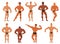 Mens physics bodybuilders vector illustration.