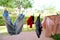 Mens shorts and underwear, hanging on a washing line on a bright