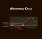 Menstrual cycle. Menstruation, ovulation. Hormones Estrogen and Progesterone. Menstrual cycle diagram. Vector