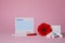Menstrual sanitary tampons, box and red flower