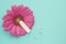Menstruation tampon, pink gerbera daisy flower. Woman hygiene conception photo. Soft tender protection for woman critical days, gy