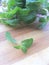 Mentha arvensis on wooden background