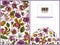Menu cover floral design with colored laelia, feijoa flowers, glory bush, papilio torquatus, cinchona, cattleya