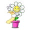 With menu daisy flower mascot cartoon