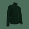 Menâ€™s warm sport puffer jacket isolated over green background