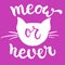 Meow or never - hand drawn lettering phrase for animal lovers on the pink background. Fun brush ink vector illustration