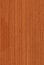 Meranti (wood texture)