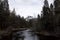 Merced River Flowing Through Trees With Halfdome In Background