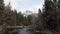 Merced River And Halfdome With Clouds Yosemite California