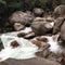 The Merced River rapids scoot around the rocks of Yosemite