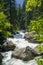 Merced River running fast through the forest, Yosemite National Park, California