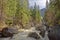 Merced River and Vernal Fall in Yosemite