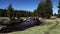 Merced River Yosemite Flowing Away From Camera With Trees