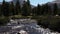 Merced river Yosemite flowing towards camera with trees