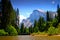 Merced River, Yosemite National Park