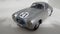 Mercedes Benz 300 SL  21 24H of LeMans silver arrow racer - legend racing cars